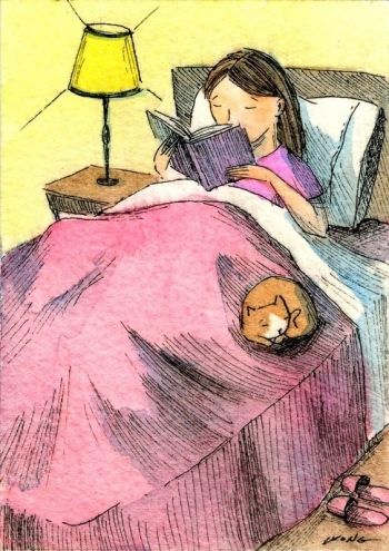 Pequot Library Bedtime Stories on Zoom