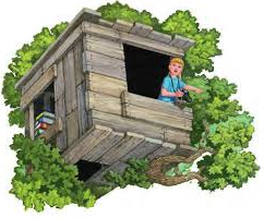 Magic Tree House Book Club