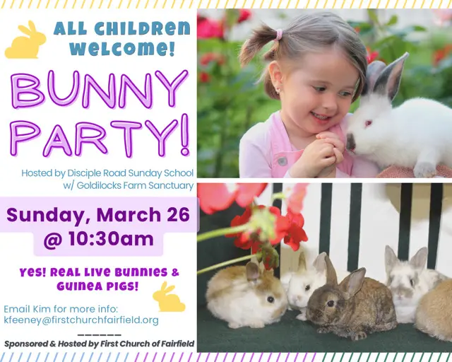 Bunny Party