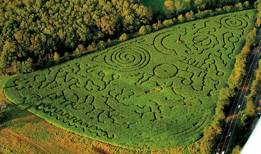 Paproski’s Corn Maze